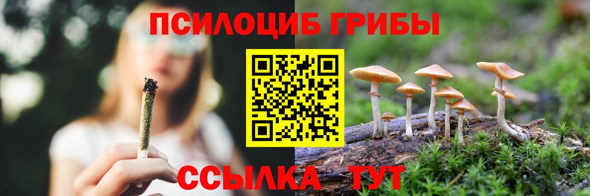 Галлюциногенные грибы Psilocybine cubensis  Галлюциногенные грибы Magic Shrooms  Вход с VPN  Глазов 